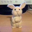 100_2136a.jpg